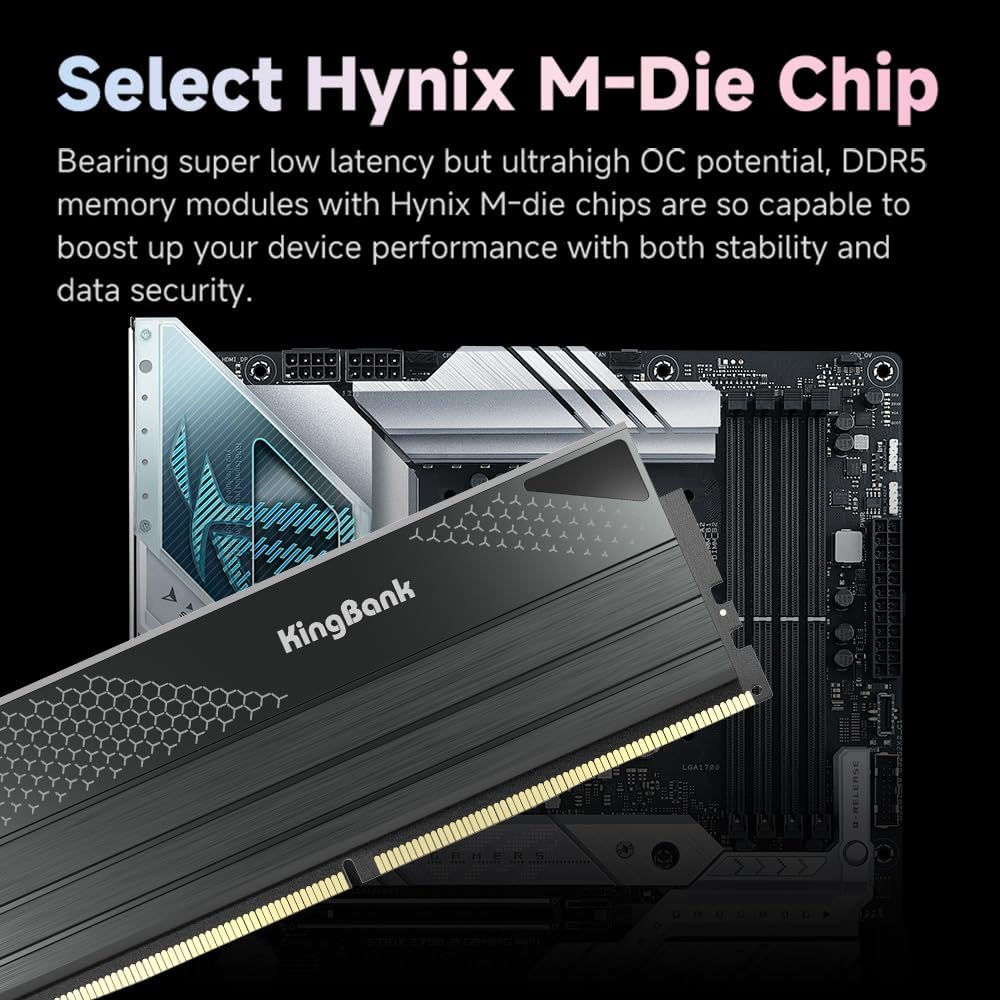 킹뱅크 DDR5 KFXB 메모리 48GB(24GBx2) - Pc Gaming Ddr5 리뷰 및 가격